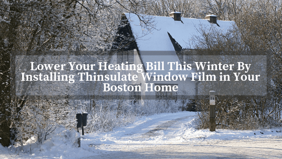 thinsulate window film boston