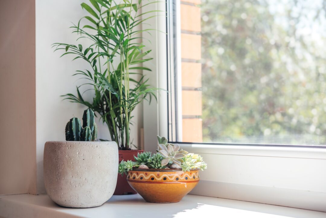 clear energy efficient window film Boston